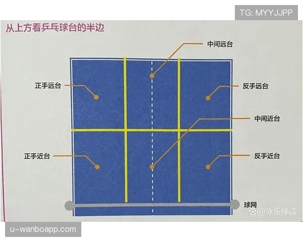 开球规则新手教学:发球位置与时机要点解析 开球规则新手教学:发球位置与时机要点解析