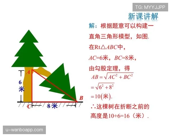 新手必读：争议球处理规则的正确理解和实际应用